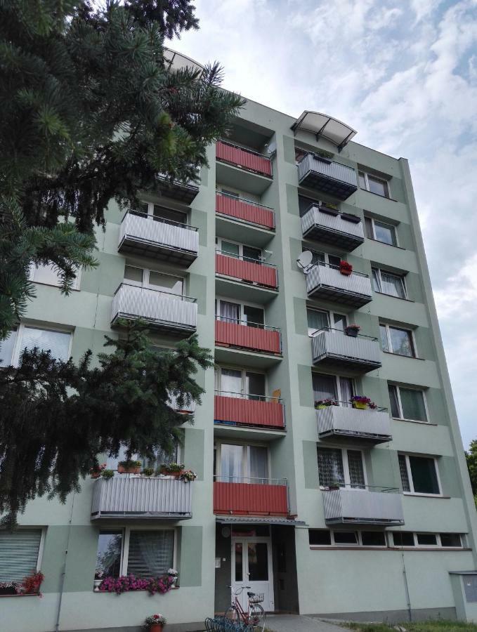 Apartman-Trebon-Centrum 外观 照片